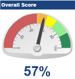 Overall Score Meter